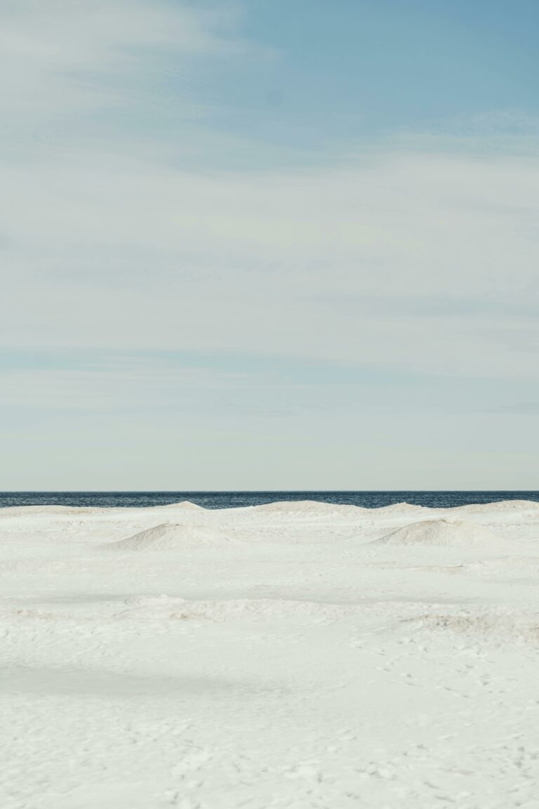 pexels-cottonbro-7494680